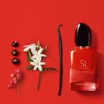 ⁦ارمانى سى باشون⁩ - الصورة ⁦6⁩